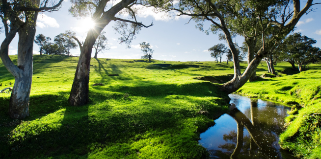 Speeding up land supply would help cool house prices: NAB CEO